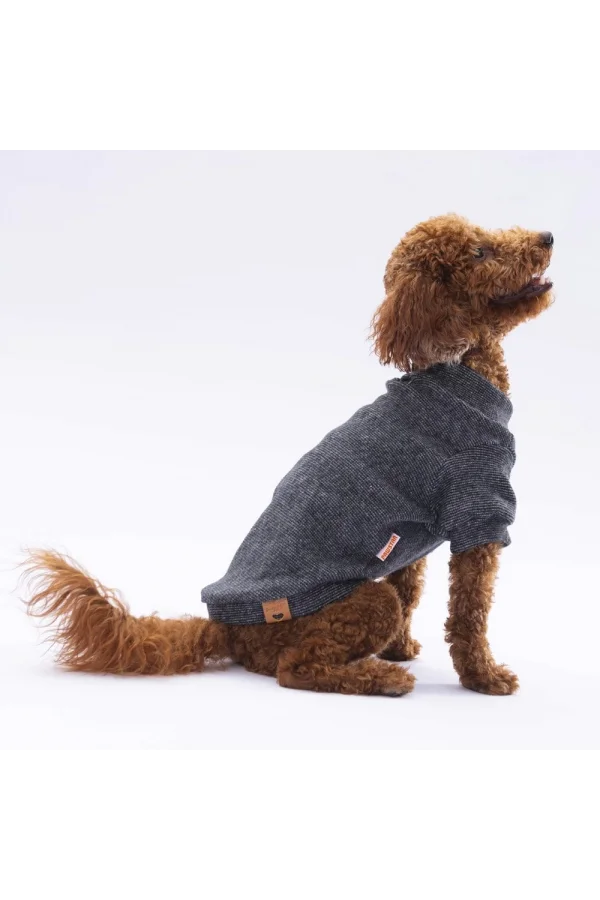 Pawstar BlackMerino Sweat X Large 34X38X55 cm