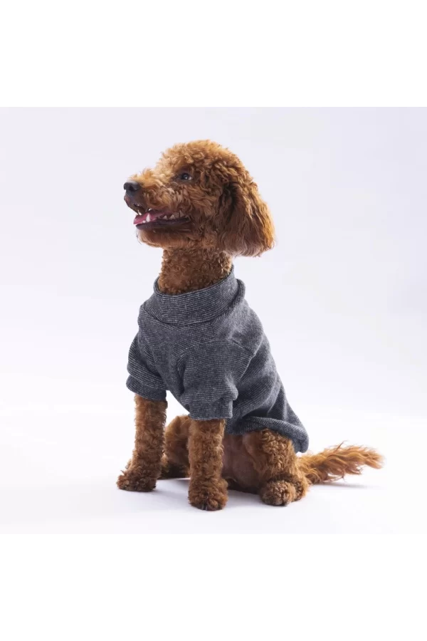 Pawstar BlackMerino Sweat X Large 34X38X55 cm