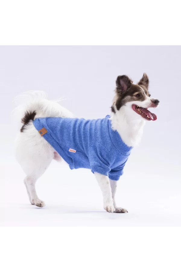 Pawstar Blue Merino Sweat Large 30X33X46 cm