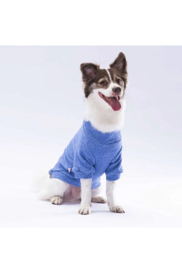 Pawstar Blue Merino Sweat Large 30X33X46 cm