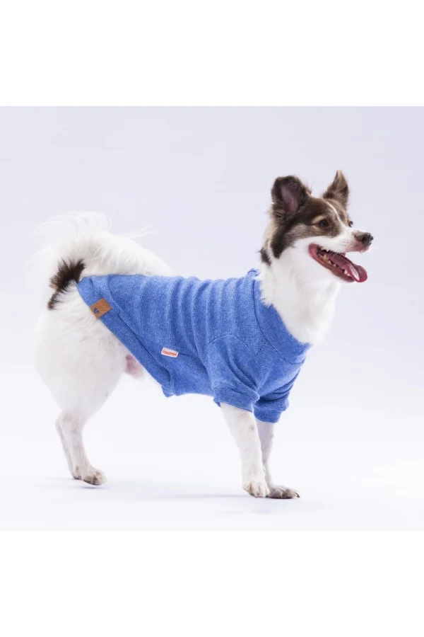 Pawstar Blue Merino Sweat X Large 34X38X55 cm