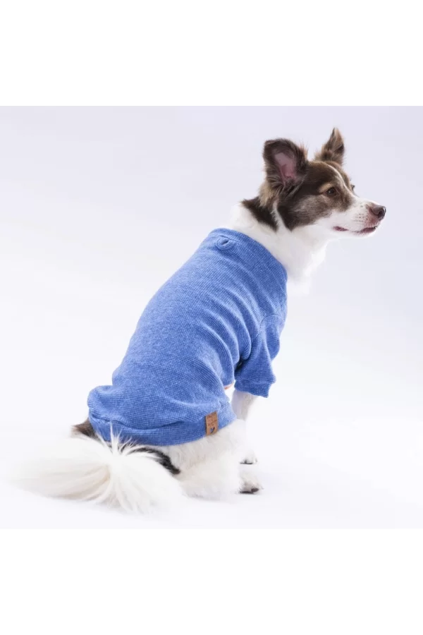 Pawstar Blue Merino Sweat X Large 34X38X55 cm