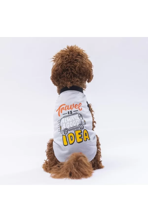 Pawstar Grey Travel Tişört XLarge 34*38*55 cm