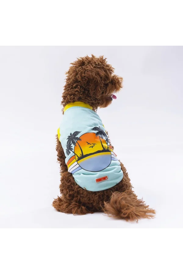 Pawstar Mint Sunrise Tişört Medium 26x28x41 cm