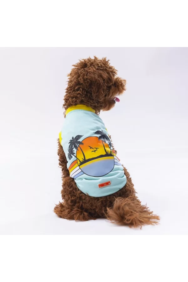 Pawstar Mint Sunrise Tişört Small 23x24x37 cm