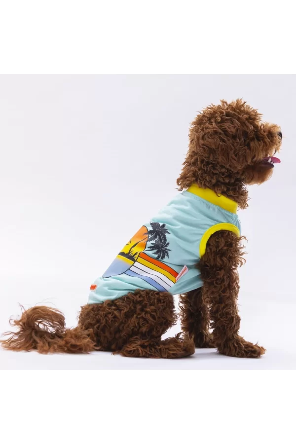 Pawstar Mint Sunrise Tişört XLarge 34*38*55 cm
