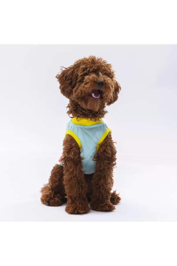 Pawstar Mint Sunrise Tişört XLarge 34*38*55 cm