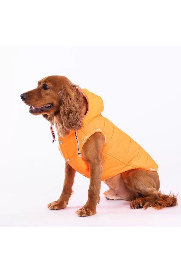 Pawstar Neon Orange Railway Vest Köpek Montu X Large 34x38x55 cm