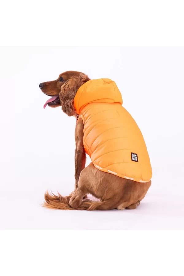Pawstar Neon Orange Railway Vest Köpek Montu X Large 34x38x55 cm