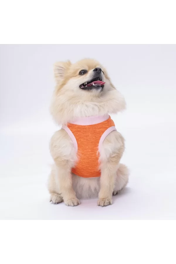 Pawstar Orange Joy Tişört Large 30x33x46 cm