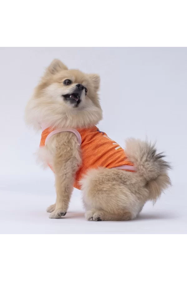 Pawstar Orange Joy Tişört Small 23x24x37 cm