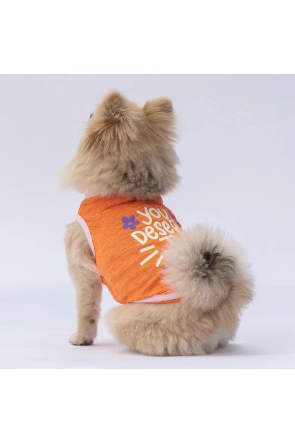 Pawstar Orange Joy Tişört Small 23x24x37 cm