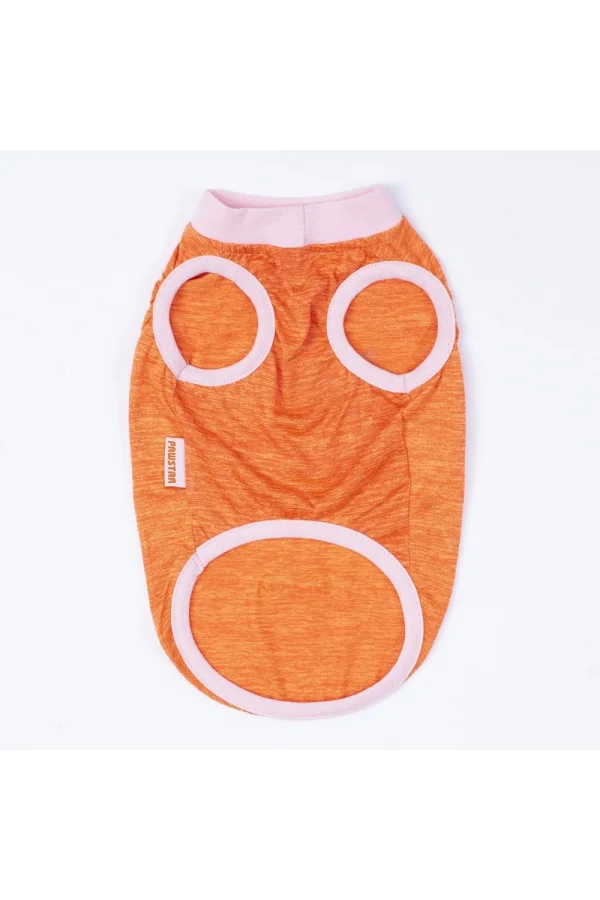 Pawstar Orange Joy Tişört Small 23x24x37 cm