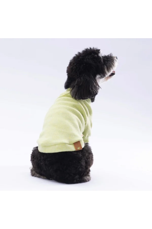 Pawstar Yellow Merino Sweat Large 30X33X46 cm
