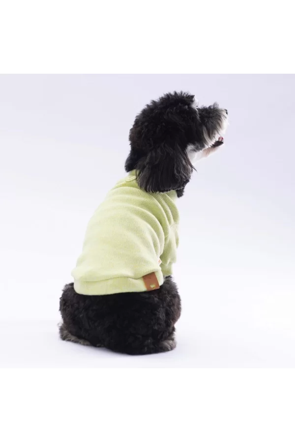 Pawstar Yellow Merino Sweat Medium 26x28x41 cm