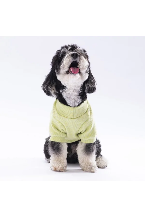 Pawstar Yellow Merino Sweat Medium 26x28x41 cm