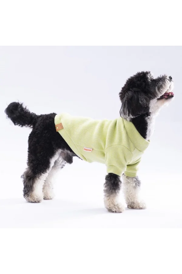 Pawstar Yellow Merino Sweat X Large 34X38X55 cm