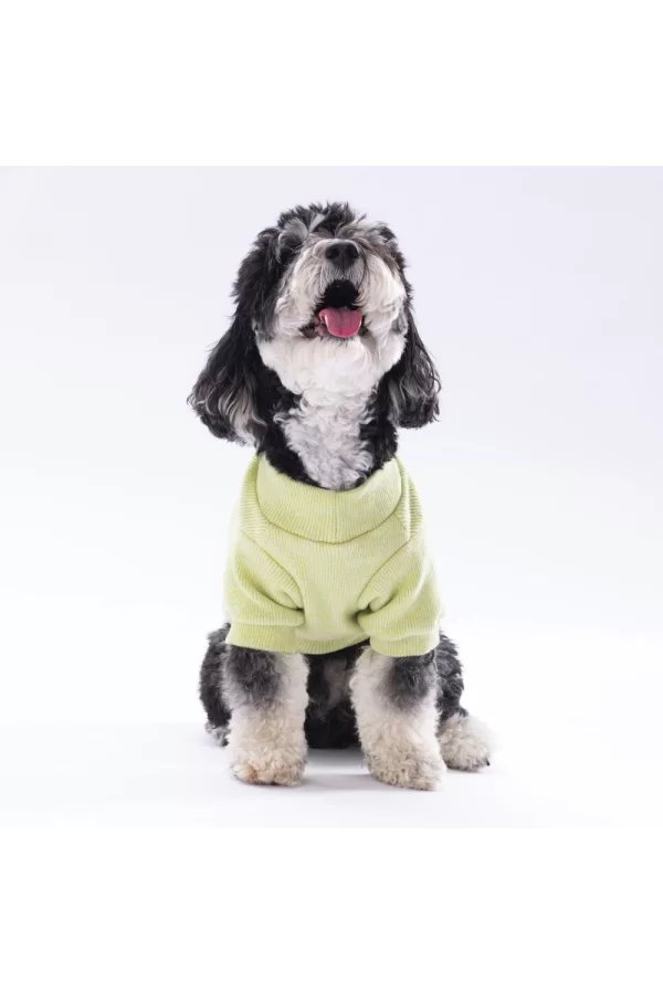 Pawstar Yellow Merino Sweat X Large 34X38X55 cm