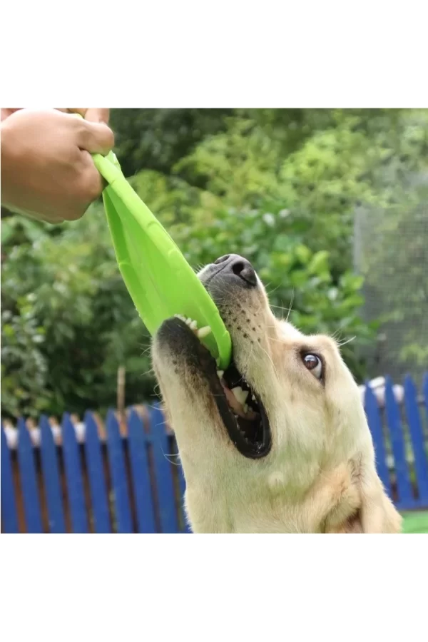Silikon Frizbi Köpek Oyuncağı