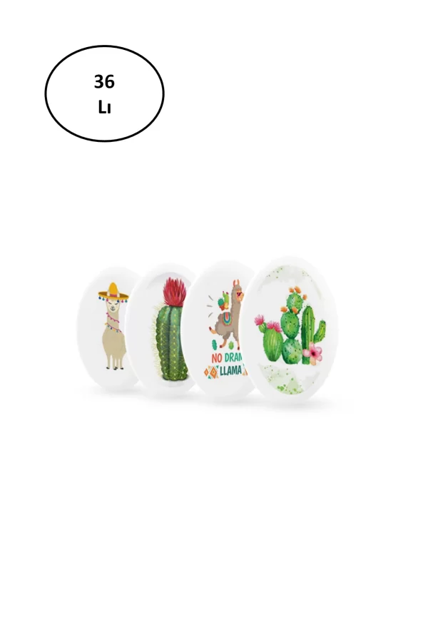 Silka Silgi Lama-Cactus Serisi SG.22 36lı