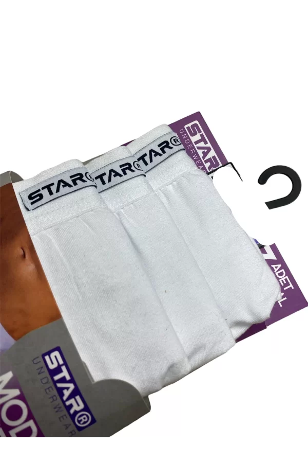 Star 109 Erkek 3lü Modal Slip