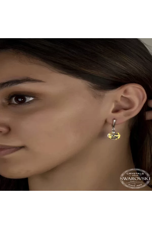 Luz&Pos Swarovski Crystal Taşlı Gümüş Beyaz Sallantılı Kadın Küpe