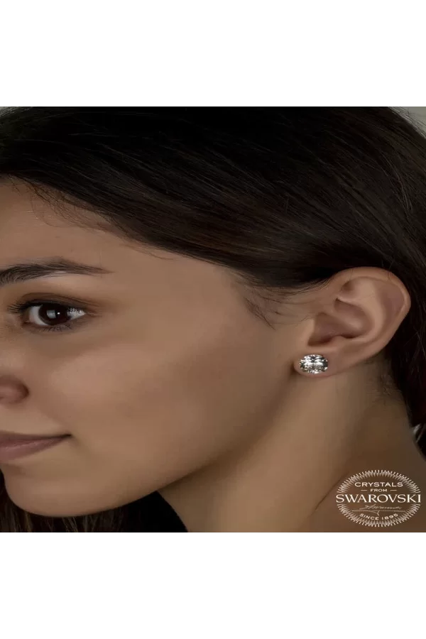 Luz&Pos Swarovski Crystal Taşlı Gümüş Çivili Kadın Küpe