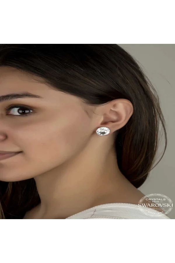 Luz&Pos Swarovski Crystal Taşlı Gümüş Çivili Kadın Küpe