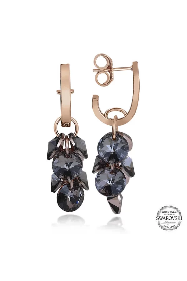 Luz&Pos Swarovski Crystal Taşlı Gümüş Salkım Sallantılı Çivili Kadın Küpe