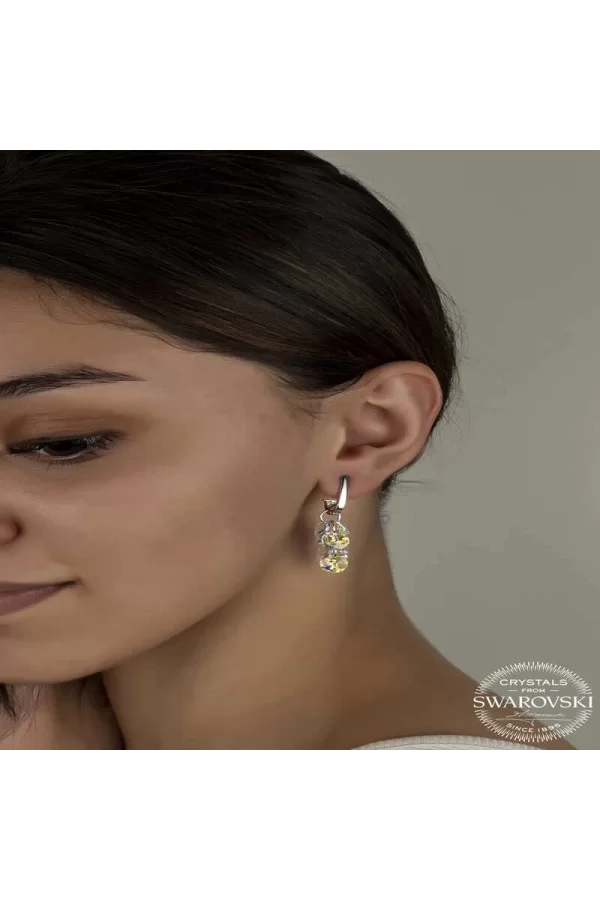 Luz&Pos Swarovski Crystal Taşlı Gümüş Salkım Sallantılı Çivili Kadın Küpe