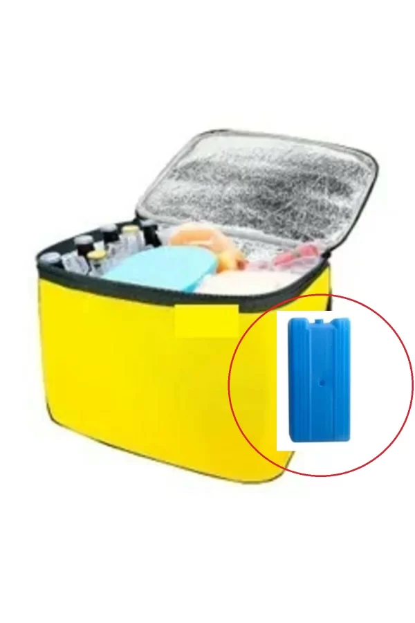 Termos Çanta - Piknik Çantası Buz Aküsü Hediyeli 24lt