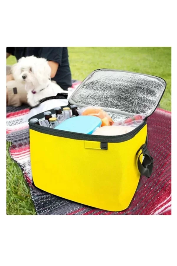 Termos Çanta - Piknik Çantası Buz Aküsü Hediyeli 40lt