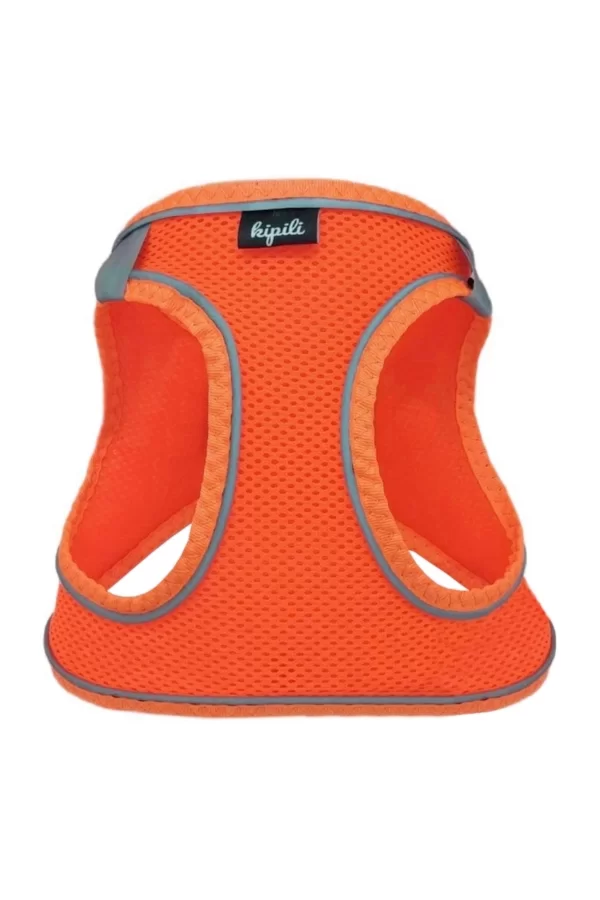 Üç Kilitli Sportif Kedi Köpek Göğüs Tasması 24-28 cm XX-Small Turuncu