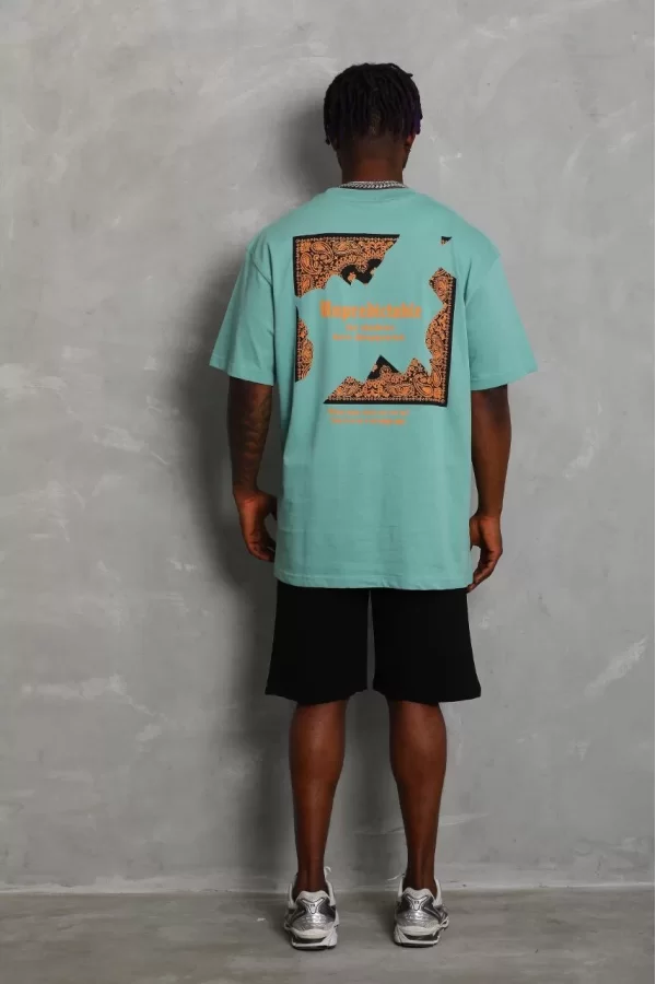 Luz&Pos Unisex Oversize Baskılı Bisiklet Yaka T-shirt - Mint Yeşili