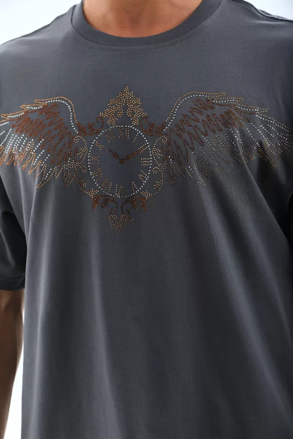 Luz&Pos Unisex Oversize Taşlı Bisiklet Yaka T-shirt - Füme