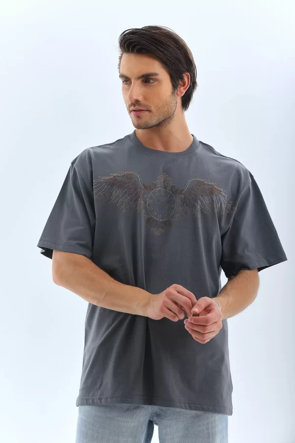 Luz&Pos Unisex Oversize Taşlı Bisiklet Yaka T-shirt - Füme