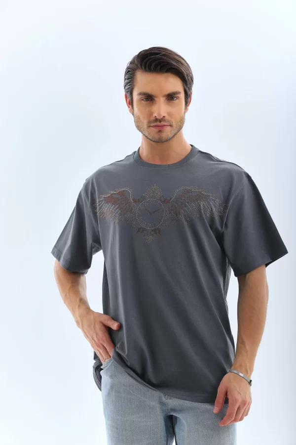 Luz&Pos Unisex Oversize Taşlı Bisiklet Yaka T-shirt - Füme
