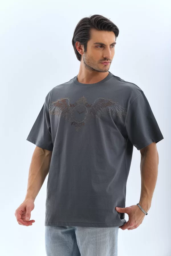 Luz&Pos Unisex Oversize Taşlı Bisiklet Yaka T-shirt - Füme