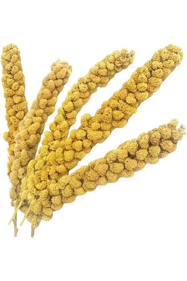 Vitaking Kuşlar İçin Doğal Sarı Dal Darı 100 gr