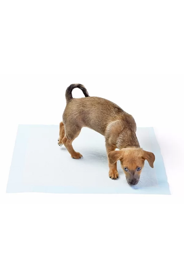 Yıkanabilir Köpek Çiş Pedi - 100 X 100 Cm 5li Paket