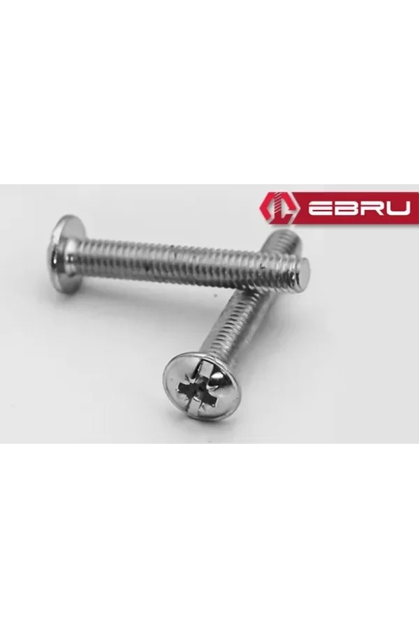Yulak Yıldız Başlı Rysb Kulp Vidası, Civata M4x10 - 50 Adet