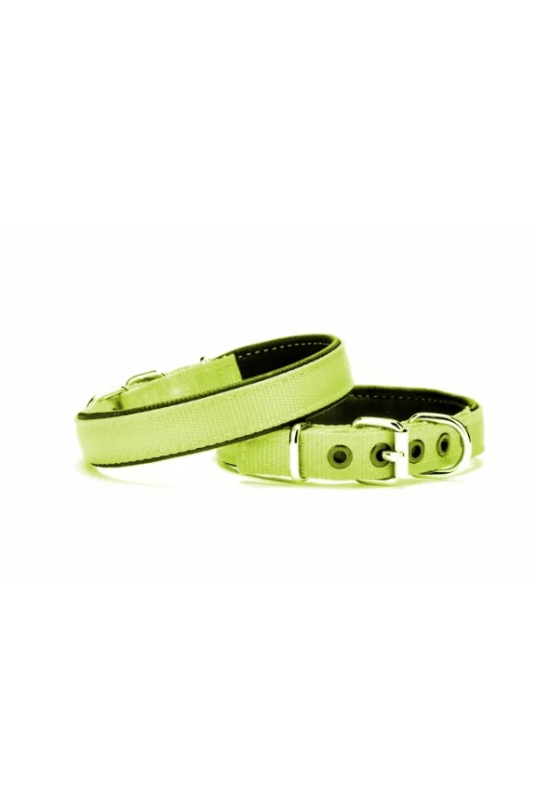 Yumuşak Doku Köpek Boyun Tasması 2/45 cm Yeşil