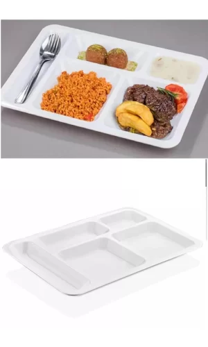 10 Adet  5 Bölmeli Kırılmaz Tabldot Tabak Self Servis Yemekhane Okul Lokanta Tabildot (40 Cm X28 Cm)