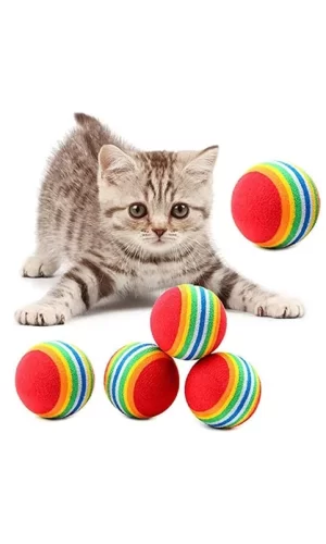 2 ADET GÖKKUŞAĞI RENKLI KEDI KÖPEK OYUN TOPU