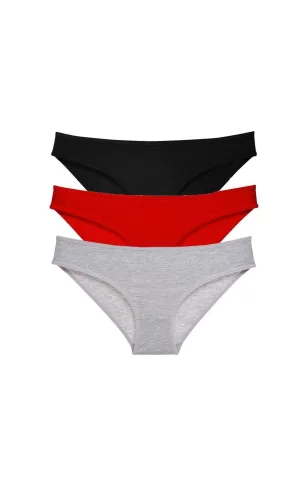 3 adet Süper Eko Set Likralı Kadın Slip Külot 540