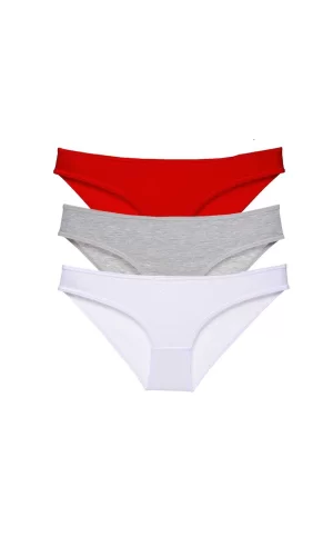 3 adet Süper Eko Set Likralı Kadın Slip Külot 542