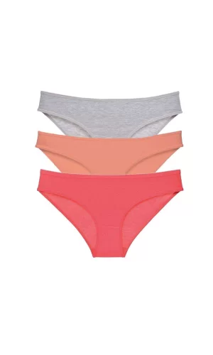 3 adet Süper Eko Set Likralı Kadın Slip Külot Gri Pudra Fuşya