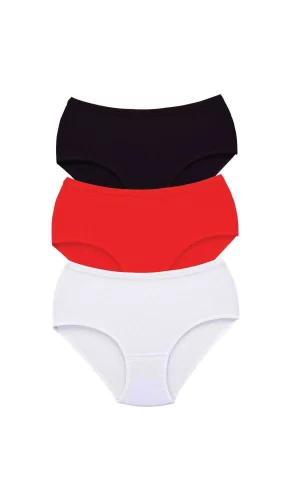 3 Adet Tutku Kadın Yüksek Bel Bato Kalın Lastik Külot S3
