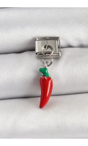 316L Çelik Gümüş Renk Kapya Biber Model Nomination Charm