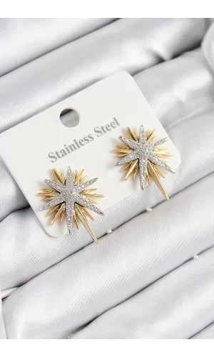 316L Çelik Zirkon Taşlı Kutup Yıldızı Model Gold Ve Gümüş Renk Kadın Küpe